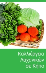 Καλλιέργεια Λαχανικών σε Κήπο - Ελληνική έκδοση